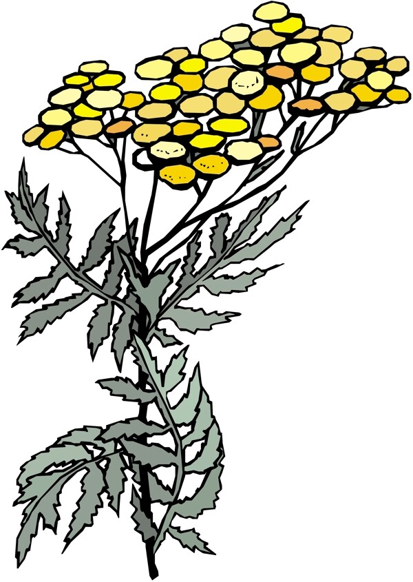 花朵花草鮮花矢量EPS格式1424