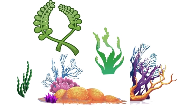 珊瑚海藻