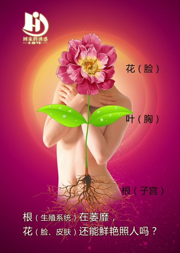 女人如花