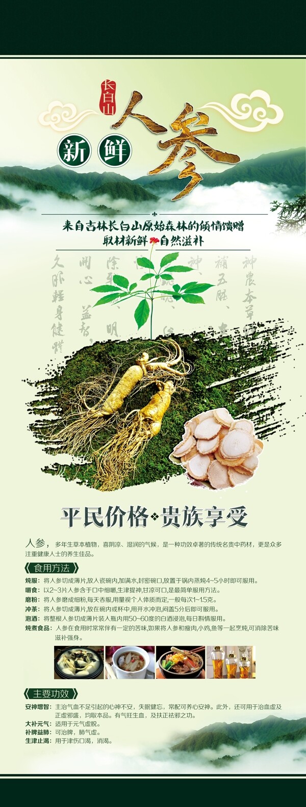 野山參X展架海報(bào)
