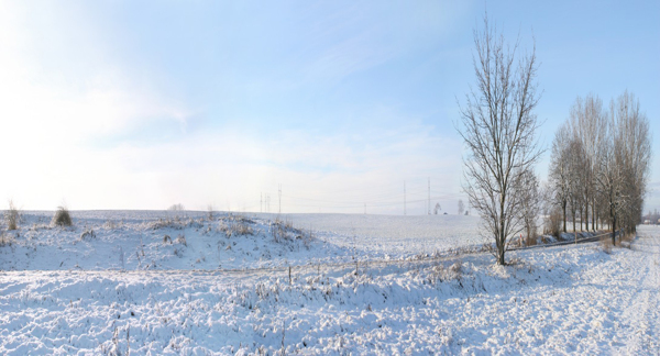 冬日雪景