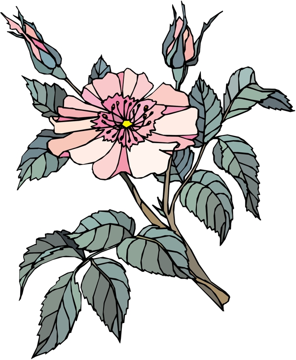 花朵花草鮮花矢量EPS格式0812