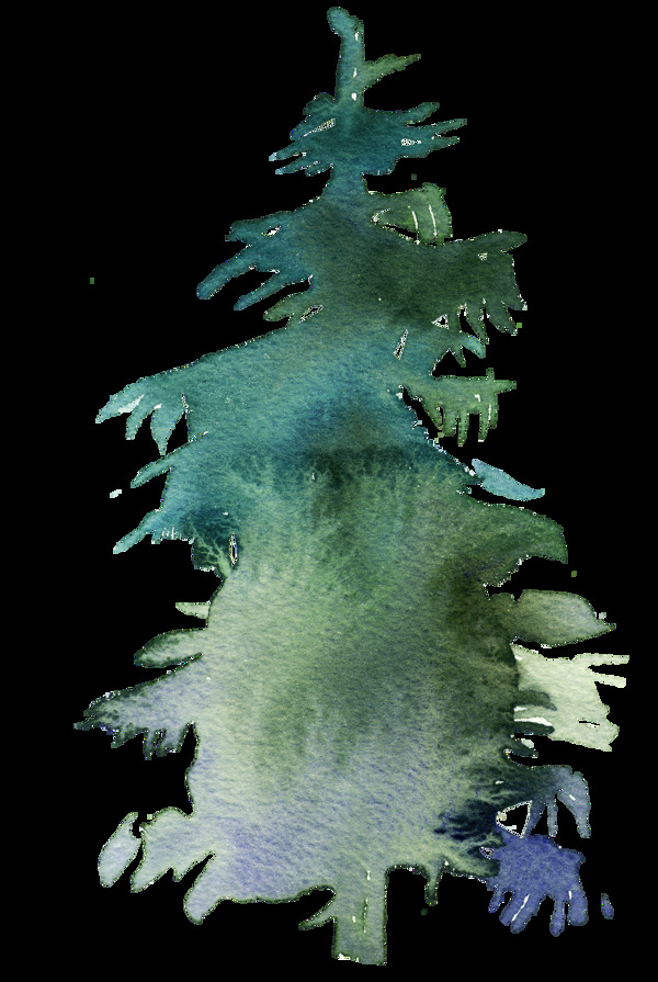 手绘水彩圣诞树云杉树PNG素材