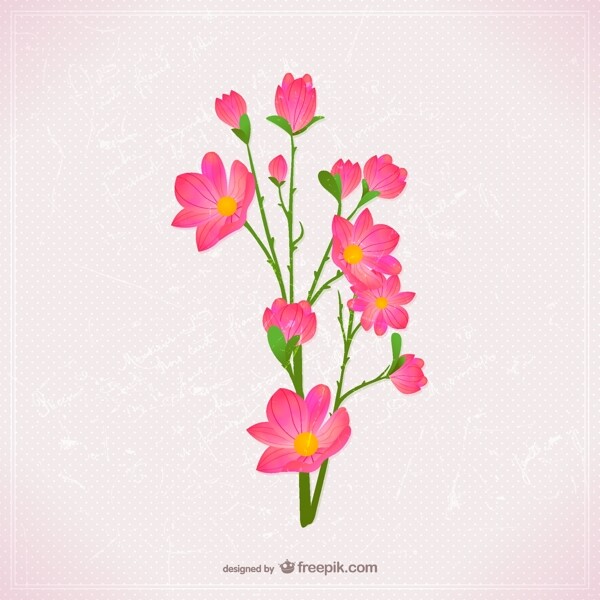 粉红色的花的插图