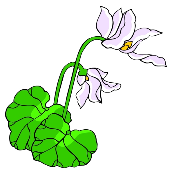 花卉古典插畫