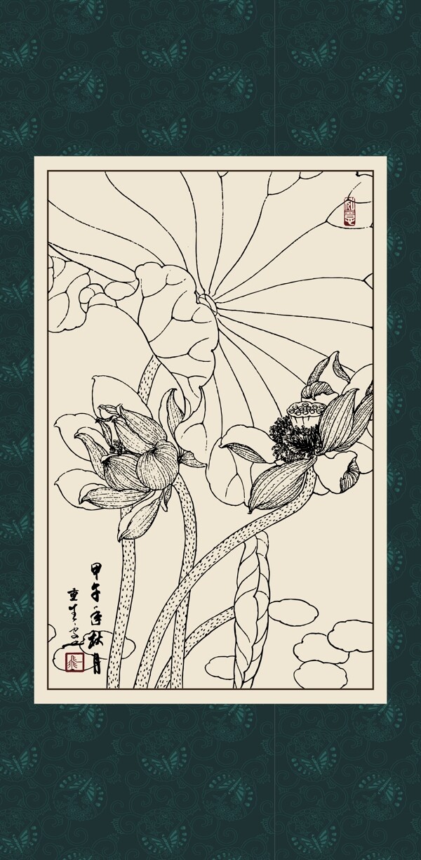 白描荷花圖片