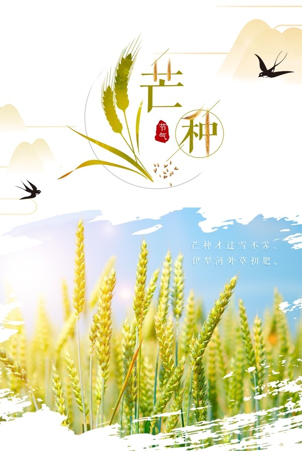 芒種清新簡約節(jié)氣海報
