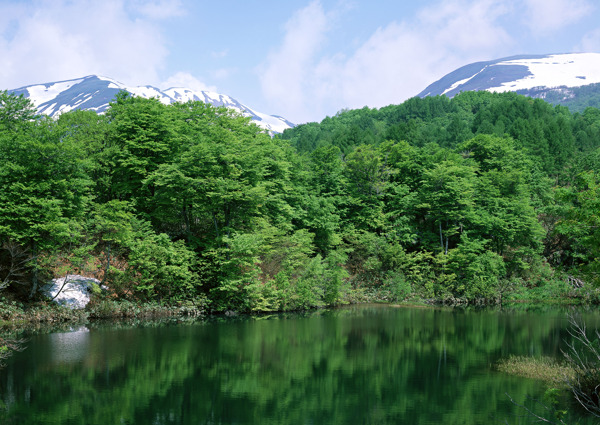 雪山树木湖泊美景图片