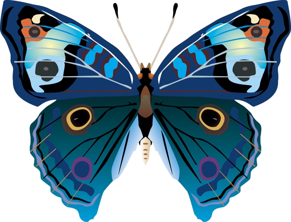 印花矢量图动物蝴蝶色石蓝色免费素材