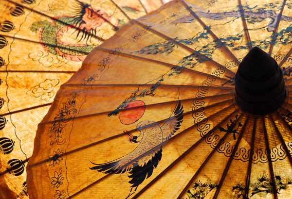 日本绘画纸伞
