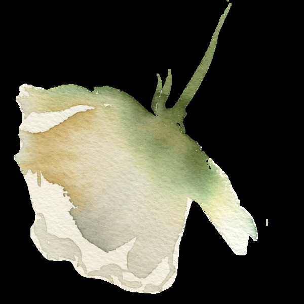 手绘渲染米白色花朵PNG透明素材