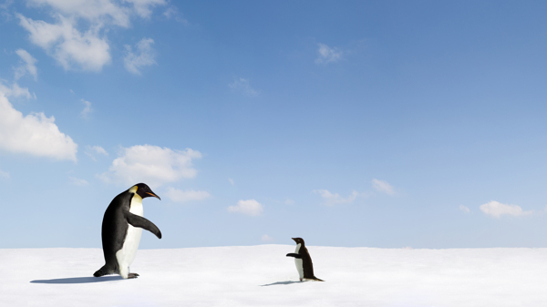 雪地上的大小企鹅图片