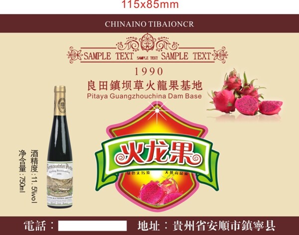 火龍果