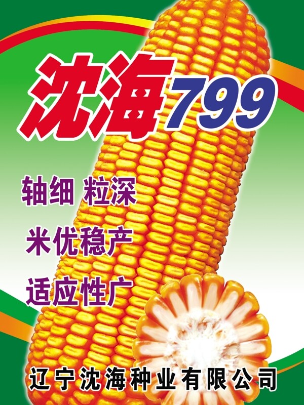 沈海799圖片