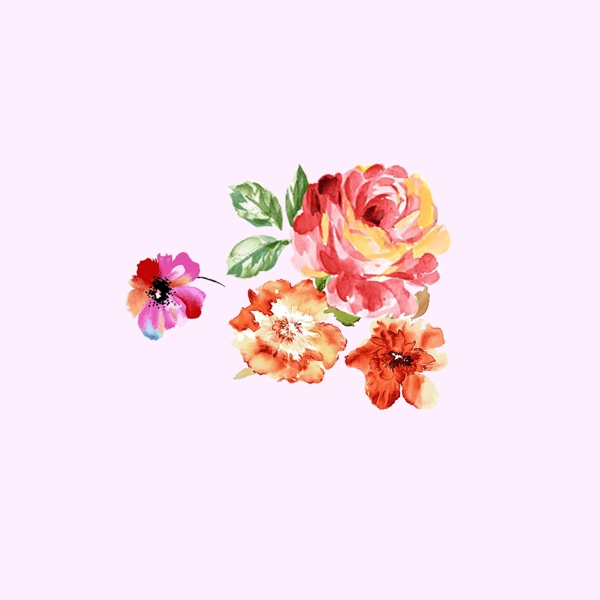 位圖psd植物花朵免費素材