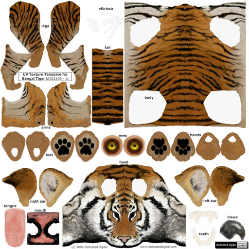 Tiger森林之王老虎写实风格含贴图