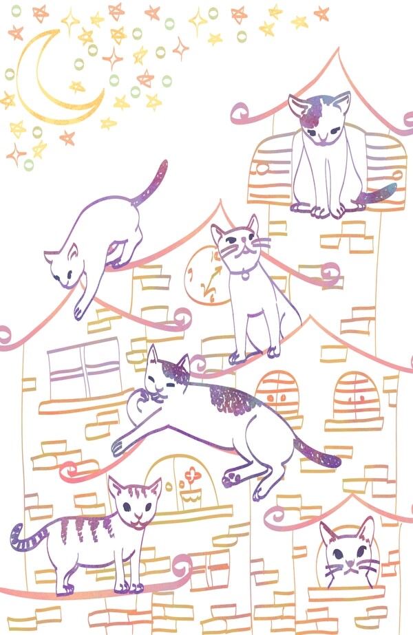 小貓圖片