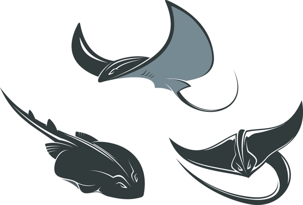 魚logo圖標(biāo)圖片