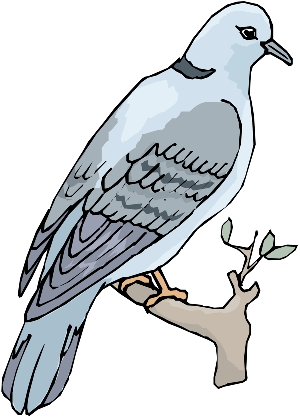 各種鳥類鳥動物矢量素材EPS格式0618