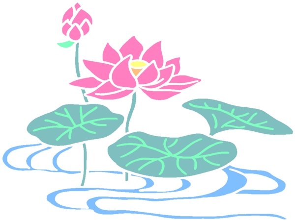 荷花圖片