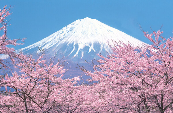 富士山圖片