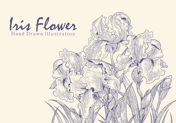 手绘花卉插画素材