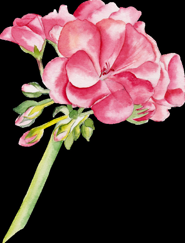 燦爛花蕊卡通透明素材