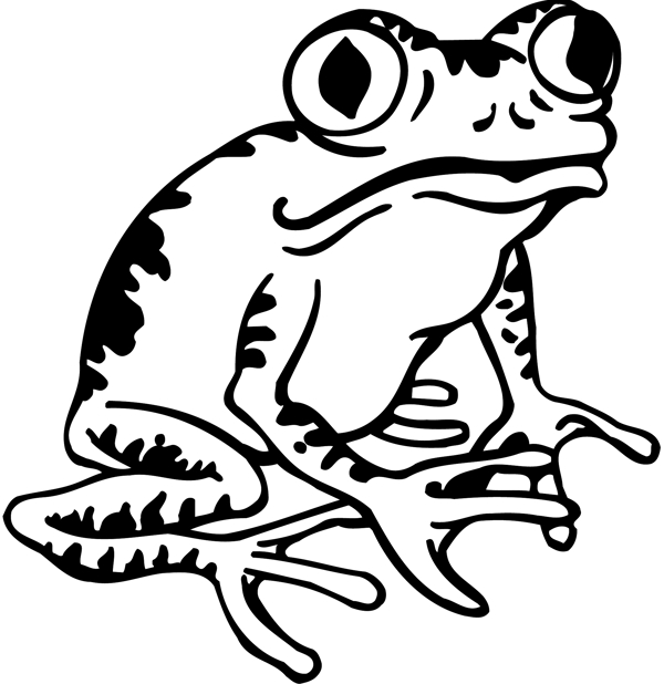 蛙类两栖动物矢量素材EPS格式0009