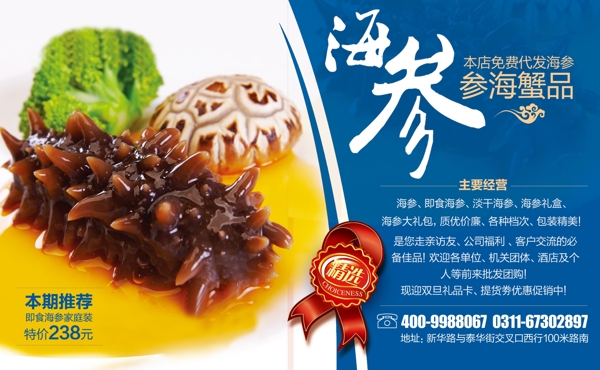 海參圖片