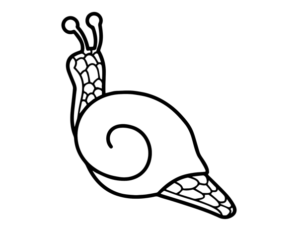 蜗牛剪影