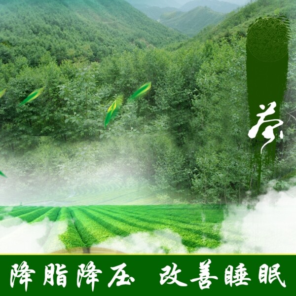 茶葉綠色創(chuàng)意主圖