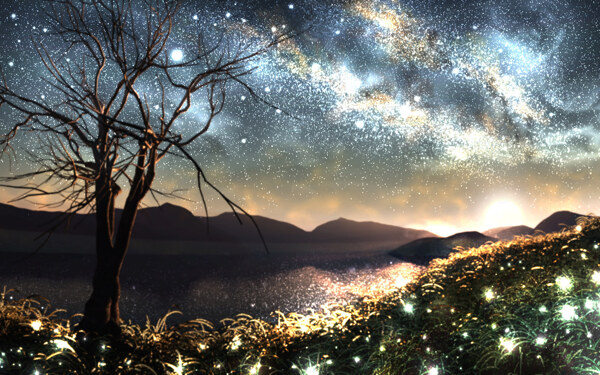 星空下的樹木