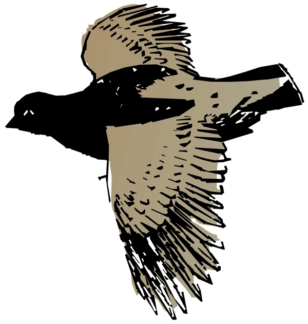 各種鳥類鳥動(dòng)物矢量素材EPS格式0019