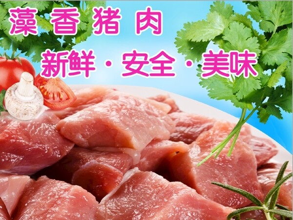 藻香猪黑猪肉新鲜肉宣传海报