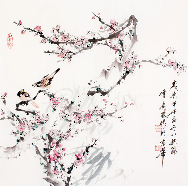 花鳥圖片