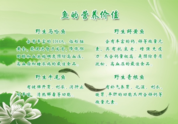 營養(yǎng)價值展板圖片