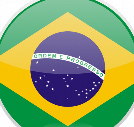 巴西国旗的圆形矢量图像