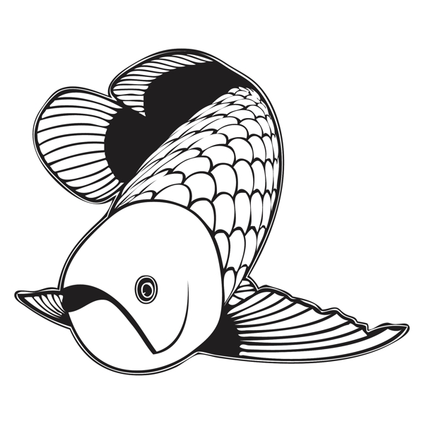 印花矢量圖T恤圖案動物魚色彩免費素材