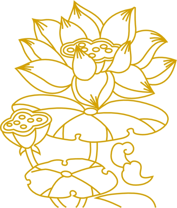 荷花圖片