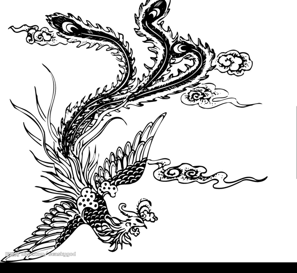 鳳凰矢量圖圖片