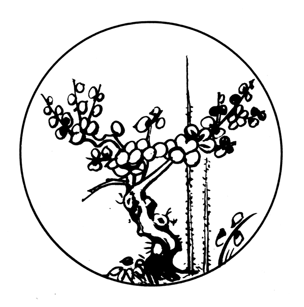花鳥圖案元明時(shí)代圖案中國(guó)傳統(tǒng)圖案015