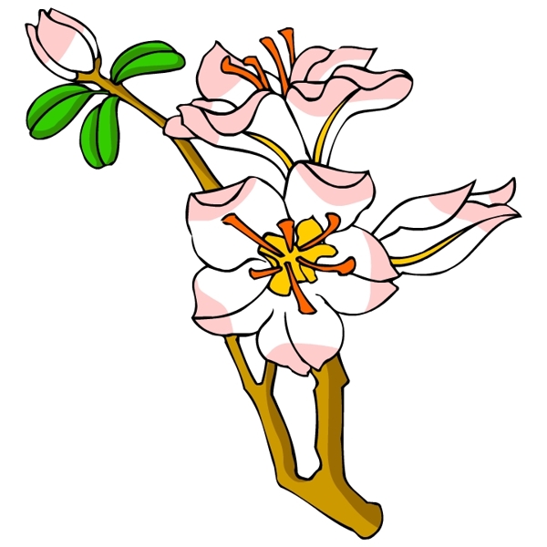 花卉古典插畫(huà)