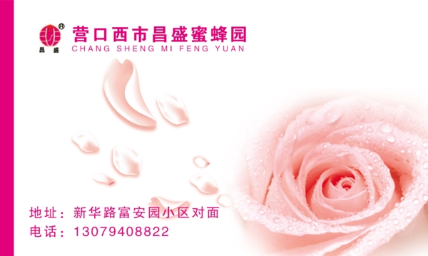 名片圖片
