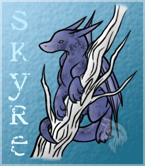 Skyre小龍