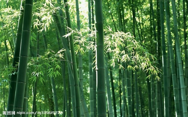 3D中式檀木花幾模型