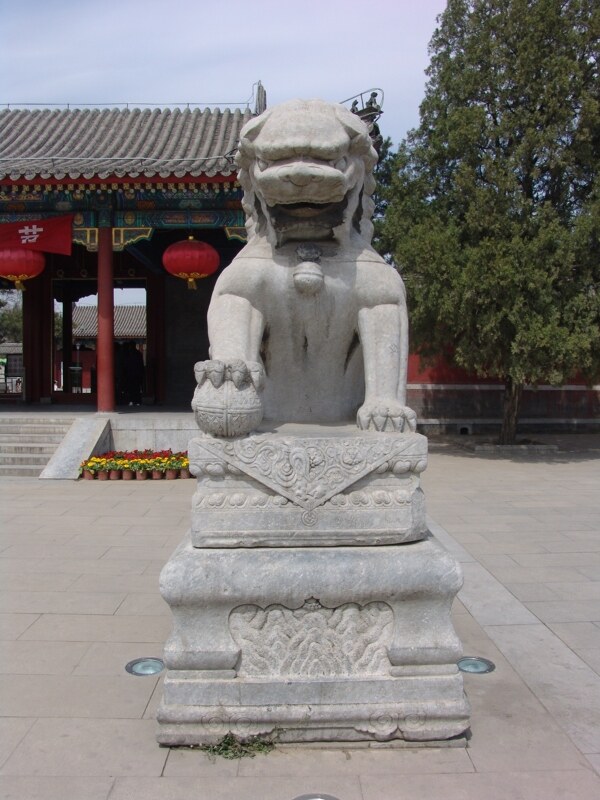 石獅正面圖片