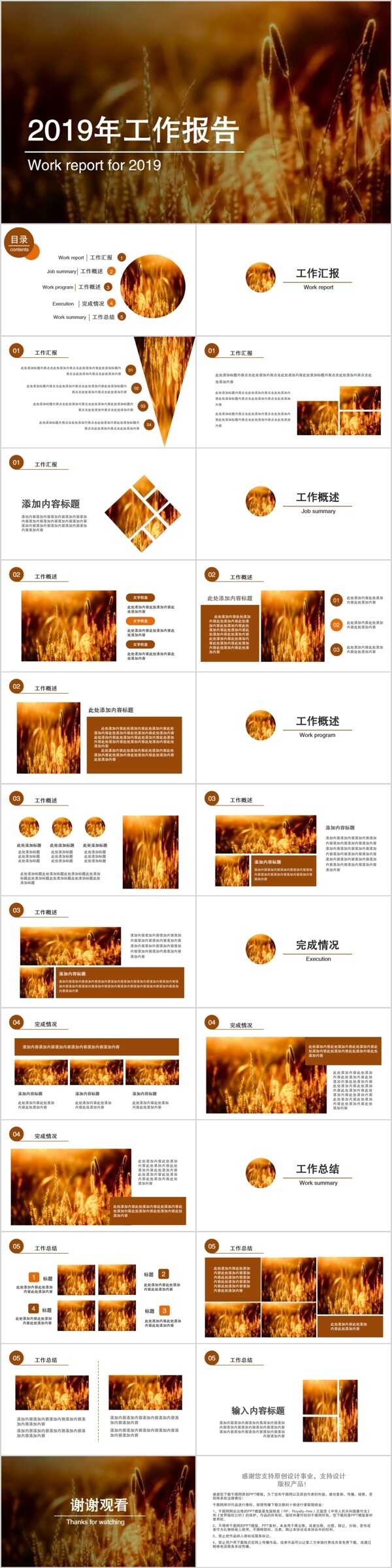 2019年小清新工作报告
