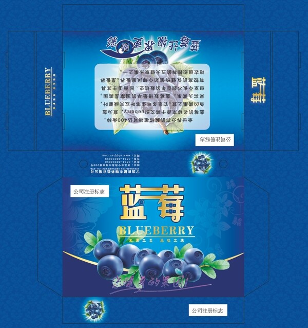 藍莓包裝盒展開圖圖片