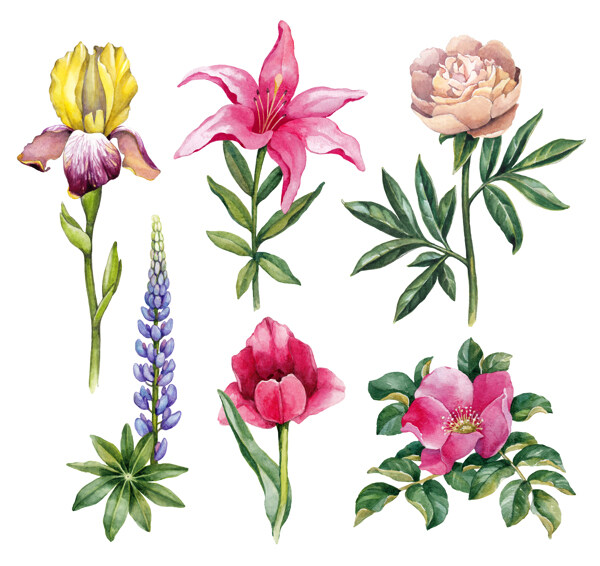 花卉