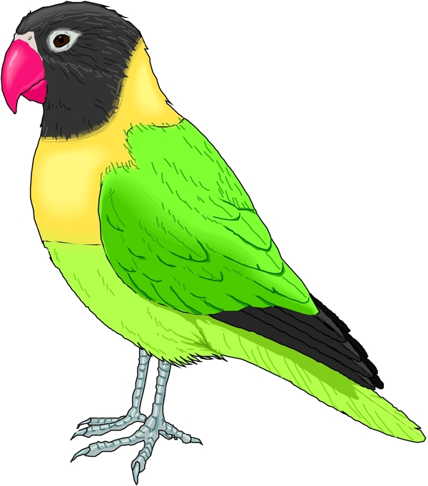 矢量逼真鳥類動物213